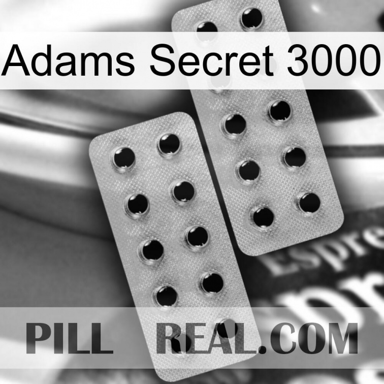 Adams Secret 3000 29